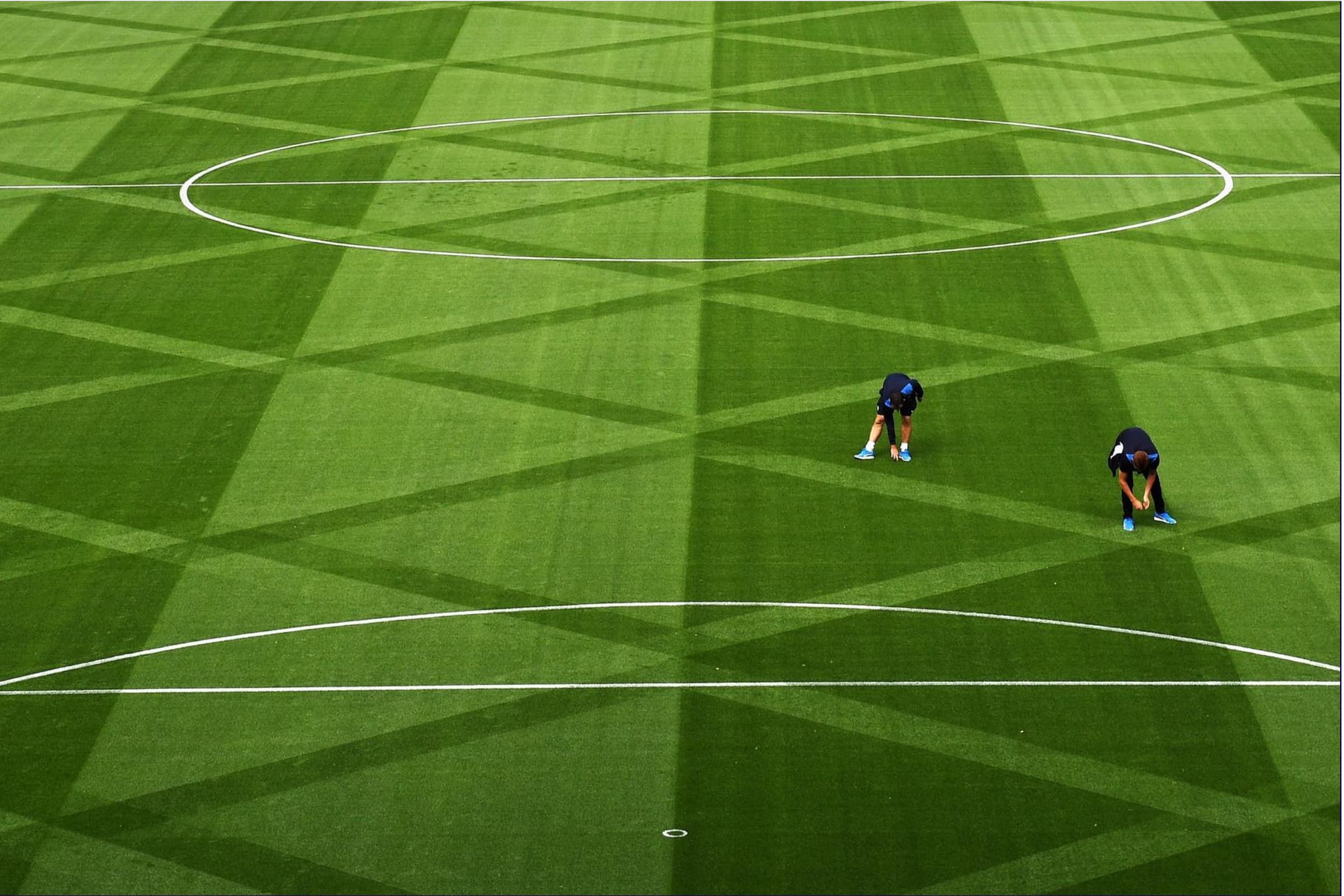 Football professionals on the pitch